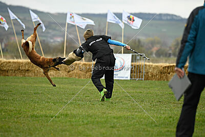 Quenn van de Berlex-Hoeve