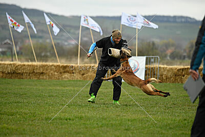Quenn van de Berlex-Hoeve