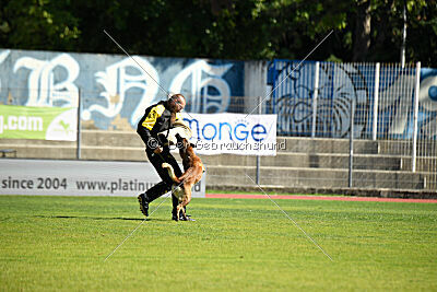 Quenn van de Berlex-Hoeve