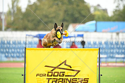 Quenn van de Berlex-Hoeve