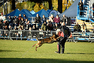 Quick vom Hierschenwieshof