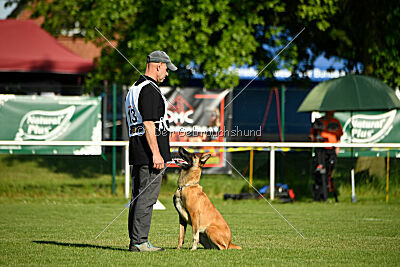 Quina dei Bonaccorso