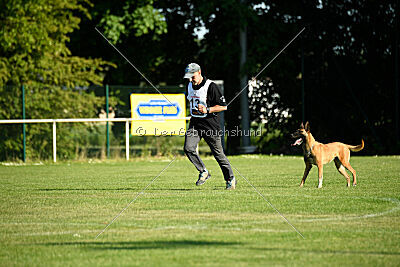 Quina dei Bonaccorso