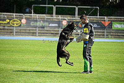 Quincy vom dunklen Zwinger