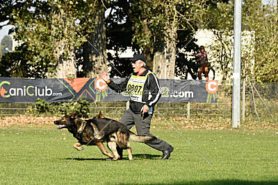 Quincy vom dunklen Zwinger