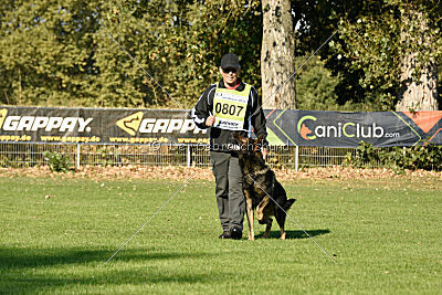 Quincy vom dunklen Zwinger