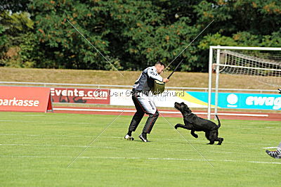 Quinja vom Hatzbachtal