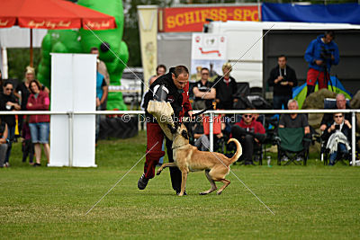 Race vom Rheurdter Land