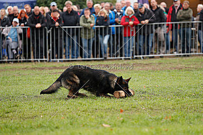 Racker vom Waisagrund