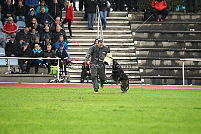 Racker vom Waisagrund