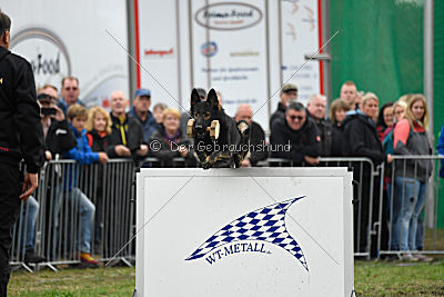 Racker vom Waisagrund