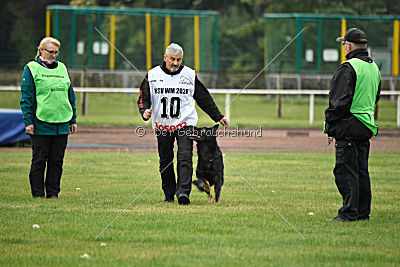 Radetzky del Camino Duro