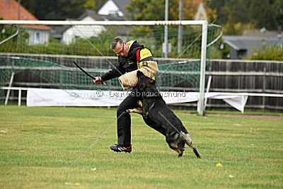 Radetzky del Camino Duro