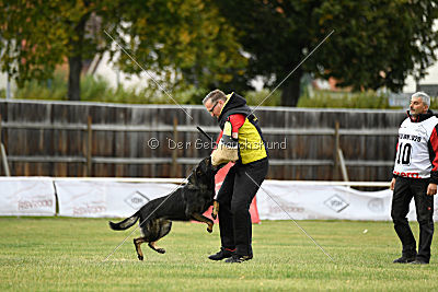 Radetzky del Camino Duro