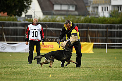 Radetzky del Camino Duro