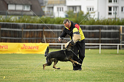 Radetzky del Camino Duro