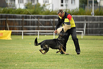 Radetzky del Camino Duro