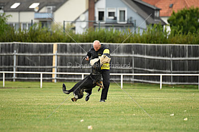 Radetzky del Camino Duro