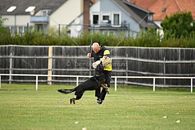 Radetzky del Camino Duro