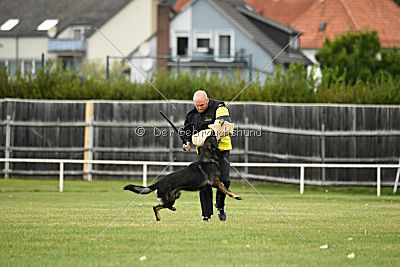 Radetzky del Camino Duro