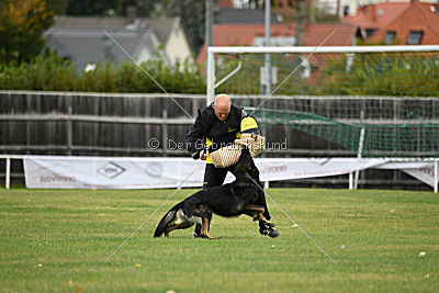 Radetzky del Camino Duro