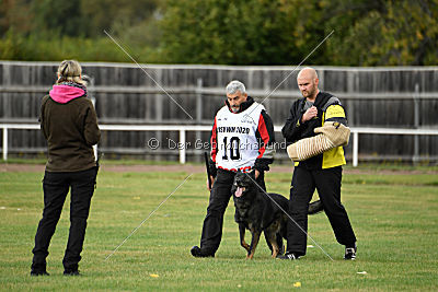 Radetzky del Camino Duro