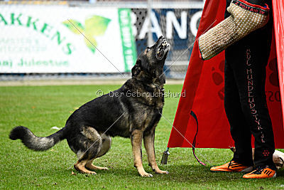 Raisers Fanto