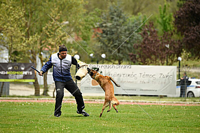 Ramona de Alphaville Bohemia