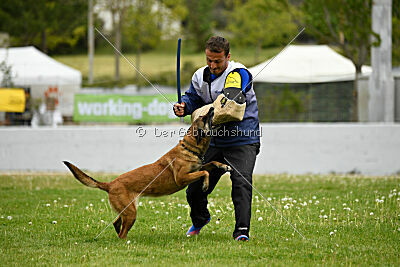 Ramona de Alphaville Bohemia