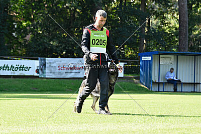 Ramses vom dunklen Zwinger