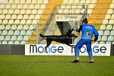 Ramses von Brand Schwanen