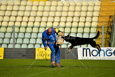 Ramses von Brand Schwanen