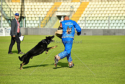 Ramses von Brand Schwanen