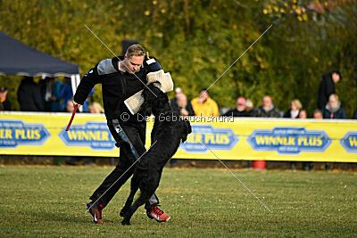 Ran-Tan-Plan von Elberfeld