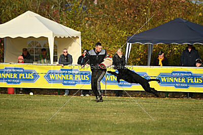 Ran-Tan-Plan von Elberfeld