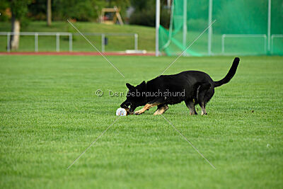 Ranuk vom Erdbeerlord