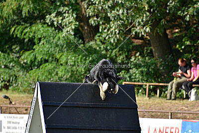 Ranuk vom Erdbeerlord