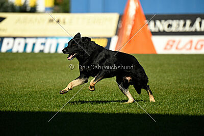 Ranuk vom Erdbeerlord