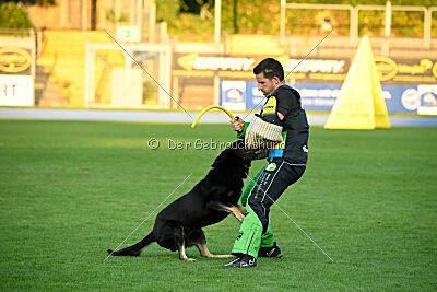 Ranuk vom Erdbeerlord