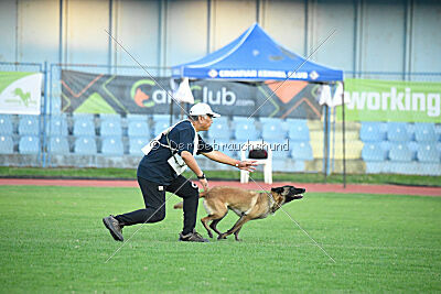 Ray von Schatzchen JP