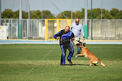 Rechtsanwalt von der Steinteichmühle