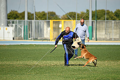 Rechtsanwalt von der Steinteichmühle