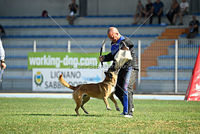 Rechtsanwalt von der Steinteichmühle