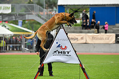 Rechtsanwalt von der Steinteichmühle