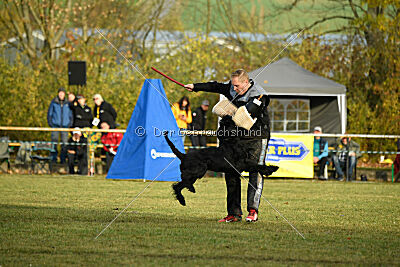 Record Arlin Stanios