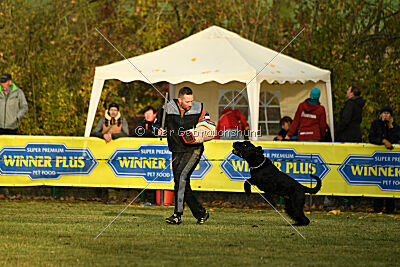 Record Arlin Stanios