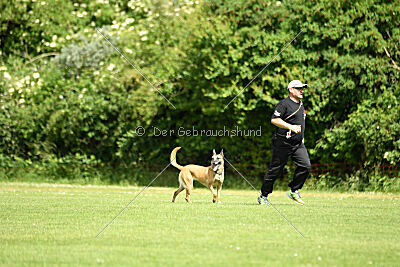 Resi Rückenwind von der Steinteichmühle