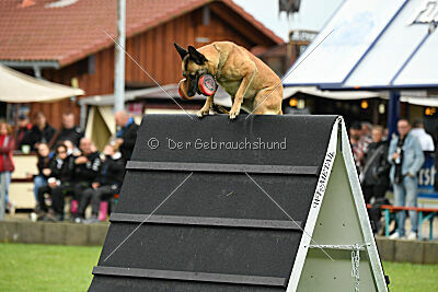 Resi Rückenwind von der Steinteichmühle