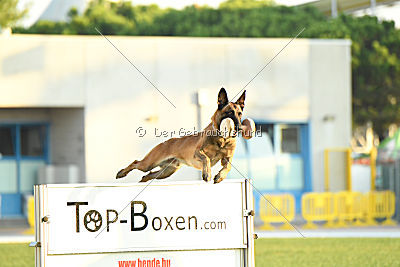 Reunion (FCI) Constantin Anoubis