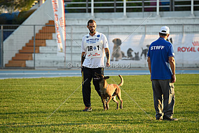 Reunion (FCI) Constantin Anoubis